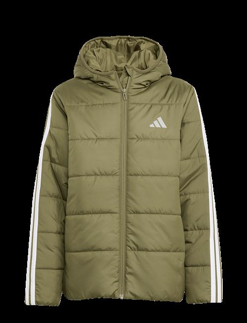 adidas Sportswear | J Ess 3S Jkt | 176