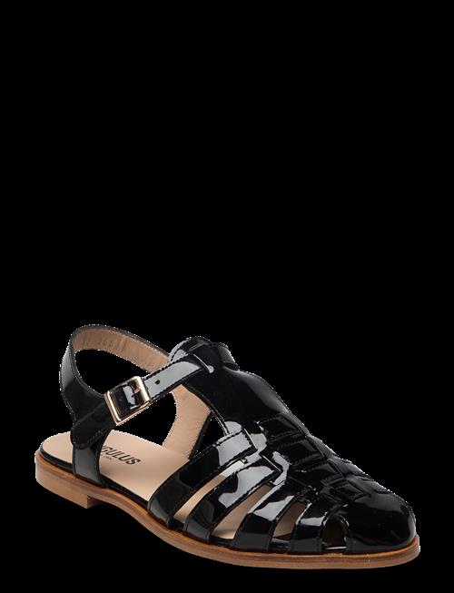 ANGULUS | Sandals - Flat  - Closed Toe - Op | 37-24.5CM