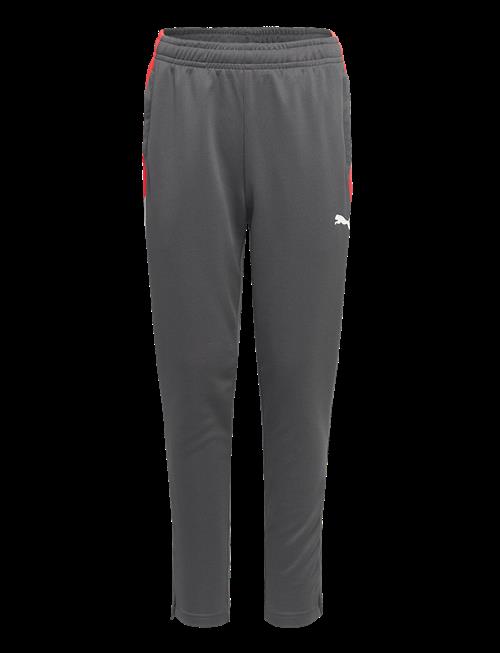 PUMA | Individualliga Training Pants Jr | 176