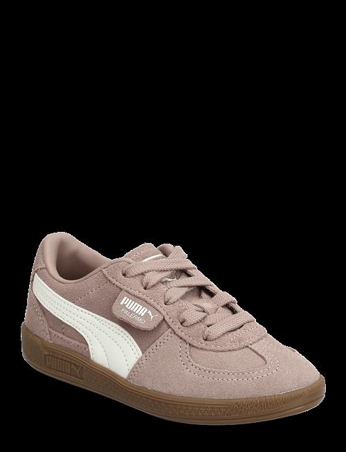 PUMA | Palermo Ps | 31