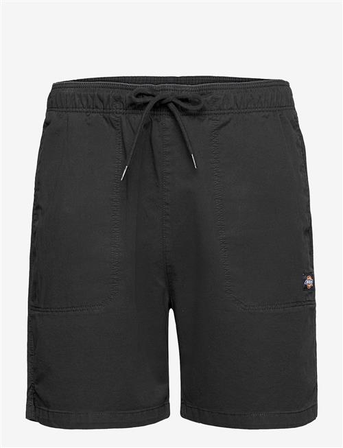 Dickies | Pelican Rapids | L