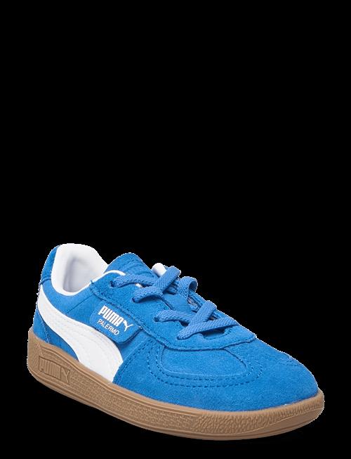 PUMA | Palermo Ac Inf | 20