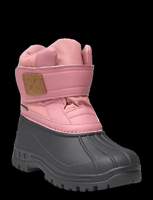 Exani | Winter K | 26-16.9CM