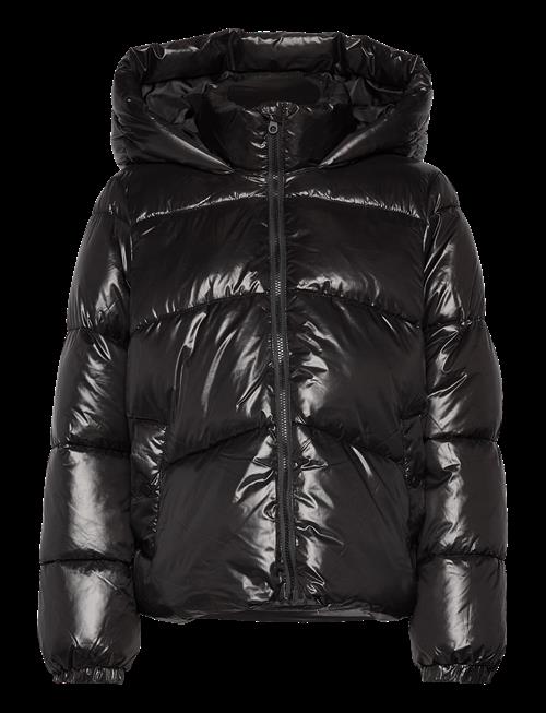 Vero Moda | Vmuppsashiny Short Jacket Excl | S