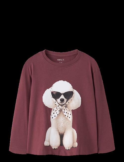 name it | Nmfvotea Ls Nreg Top | 116