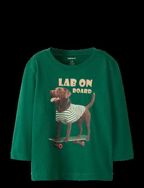 name it | Nmmvoto Ls Nreg Top | 92