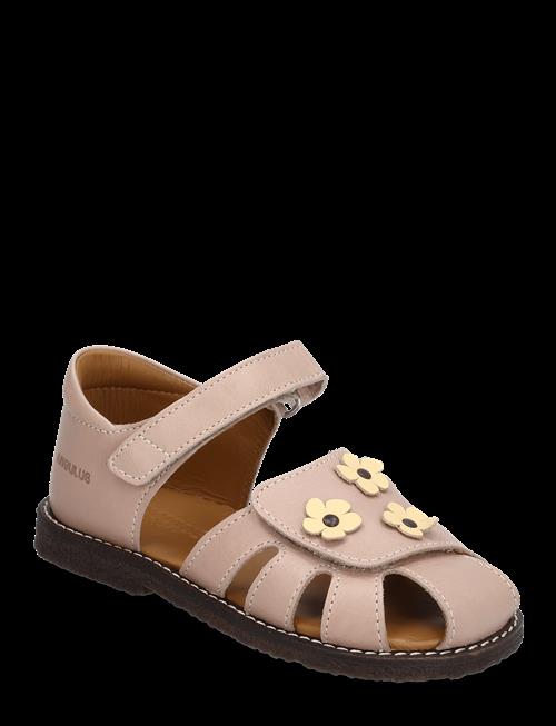 ANGULUS | Sandals - Flat  - Closed Toe | 24
