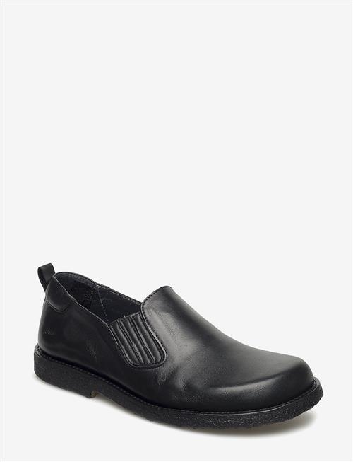 ANGULUS | Shoes - Flat - With Elastic | 36-23.9CM