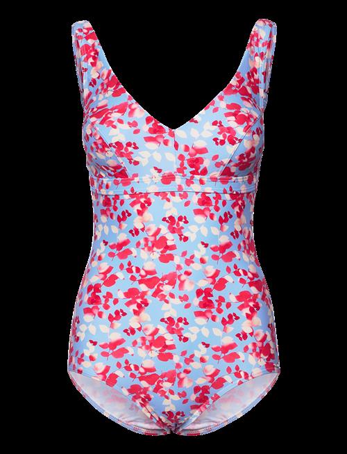 Abecita | Sorrento Kanters Swimsuit | DE x 44