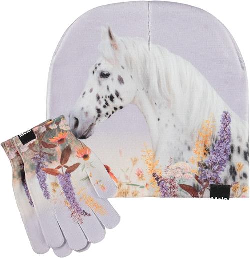 Molo Kaya Outerwear Set Meadow Horse Meadow Horse S/M  Lilla  S/M   Piger