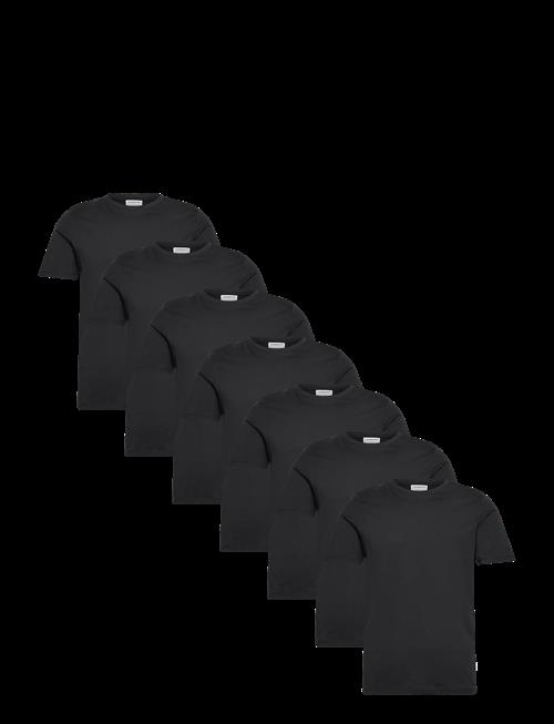 Lindbergh | 7-Pack Basic Tee S/S | L
