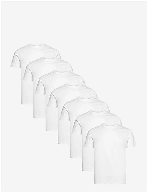 Lindbergh | 7-Pack Basic Tee S/S | XL