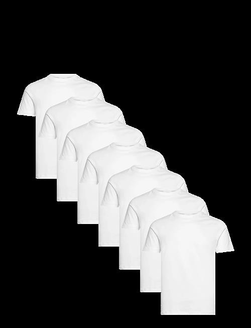 Lindbergh | Basic O-Neck Tee S/S 7 Pack | XL
