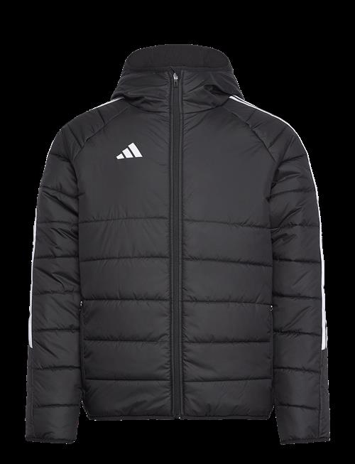 adidas Performance | Tiro24 Wint Jkt | XL