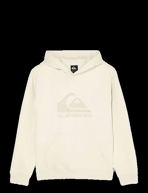Quiksilver | Comp Logo Hoodie Youth | 16