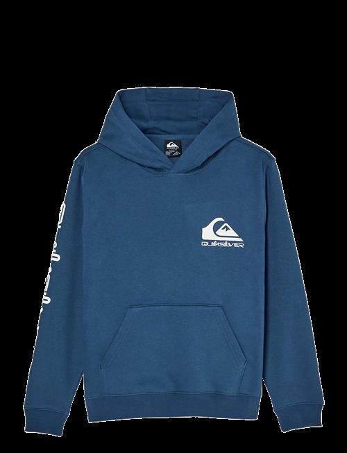 Quiksilver | Omni Logo Hoodie Youth | 14