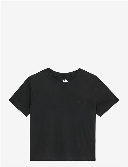 Quiksilver | Essential Ss Tee | S