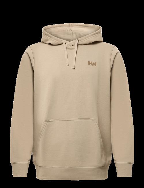 Helly Hansen | Core Graphic Hoodie | M