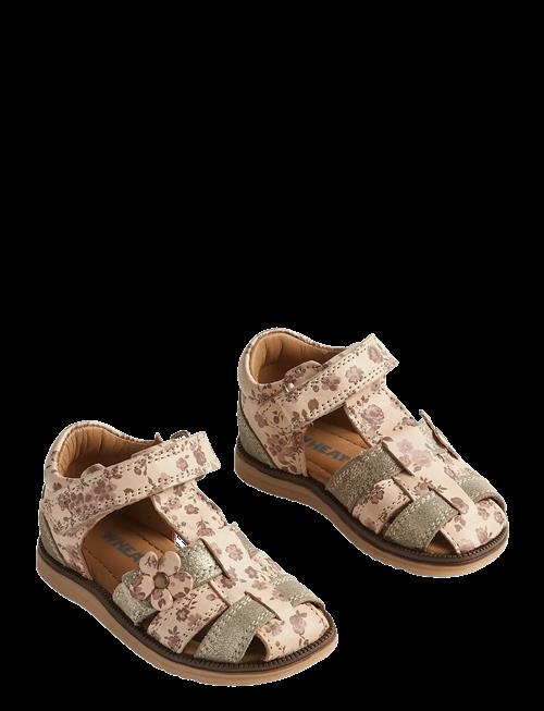 Wheat | Sandal Sky Flower | 23