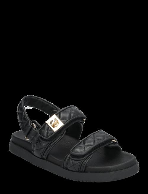 Steve Madden | Mona-Q | 40