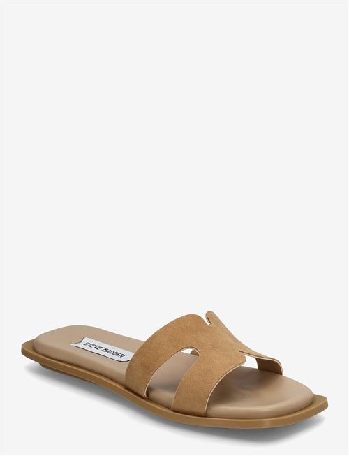 Steve Madden | Sofia | 38