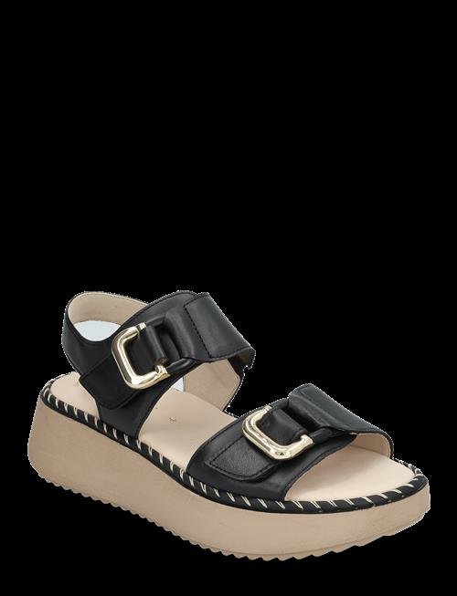Gabor | Sandal | 40