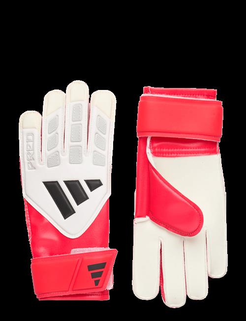 adidas Performance | Pred Gl Trn J | 3.5