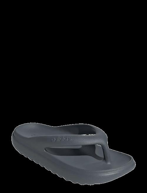 adidas Sportswear | Adilette Lumia Flip Flop | 40 1/2