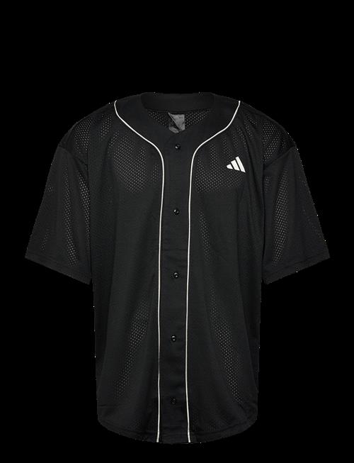 adidas Sportswear | M Sta Seas Shrt | M