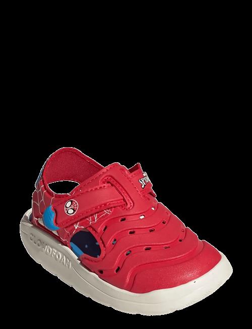 adidas Sportswear | Water Sandal Spider-Man I | 26