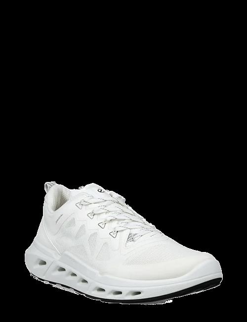 ECCO | Biom 720 W | 37