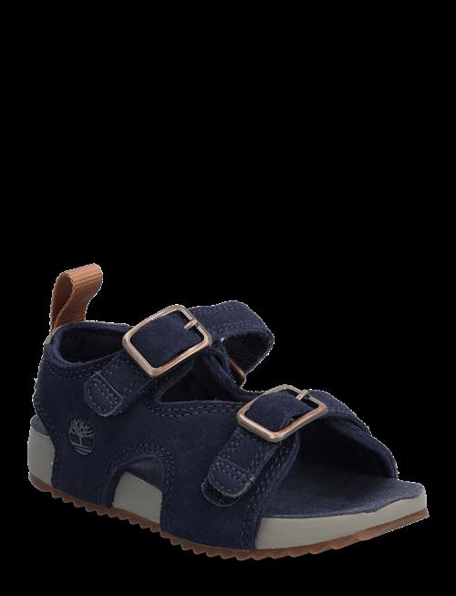 VF Sweden AB / Timberland | Castle Island Backstrap Sandal Dark Blue Suede | 26