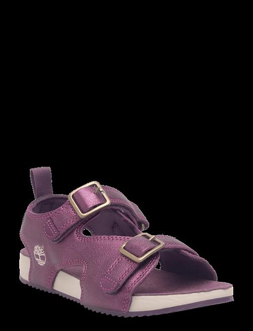 Timberland | Castle Island Backstrap Sandal Bright Purple Metallic | 34