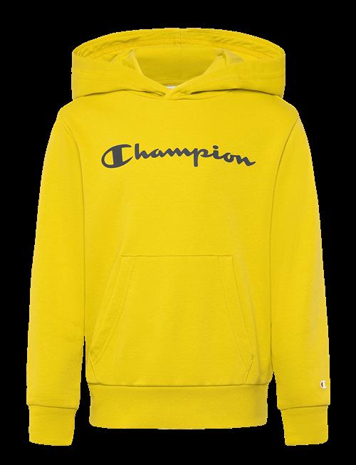 Champion | Hooded Sweatshirt | 176