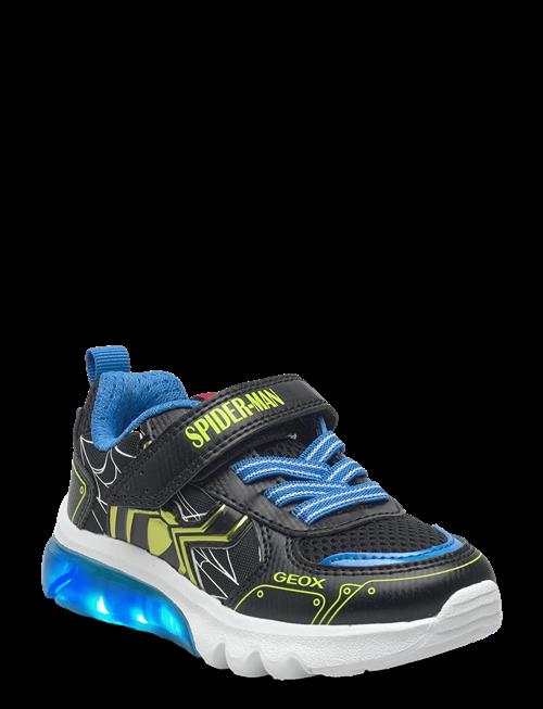GEOX | J Ciberdron Boy C | 29