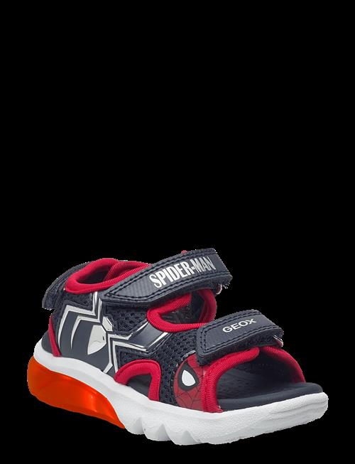 GEOX | J Sandal Ciberdron B | 24