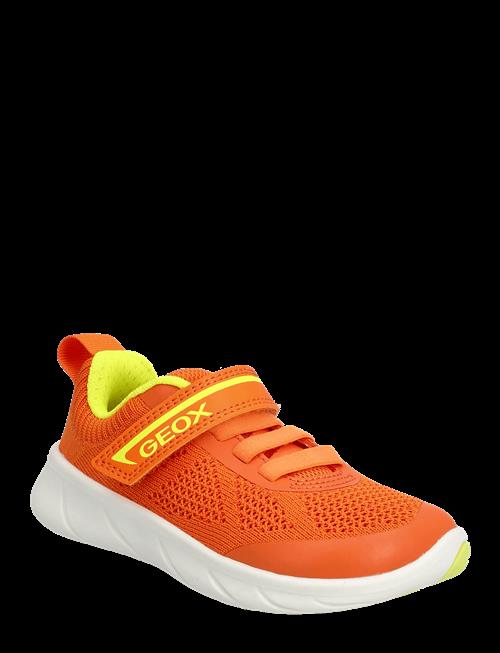 GEOX | J Foot-Run Boy B | 28