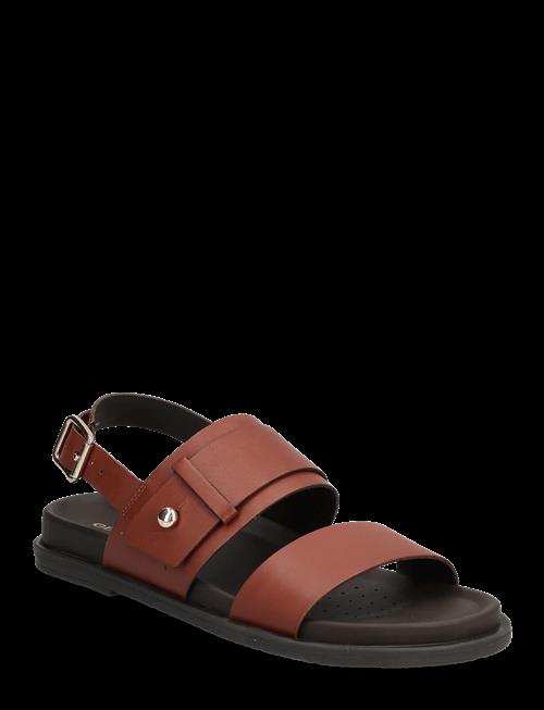 GEOX | D Adelash A | 35
