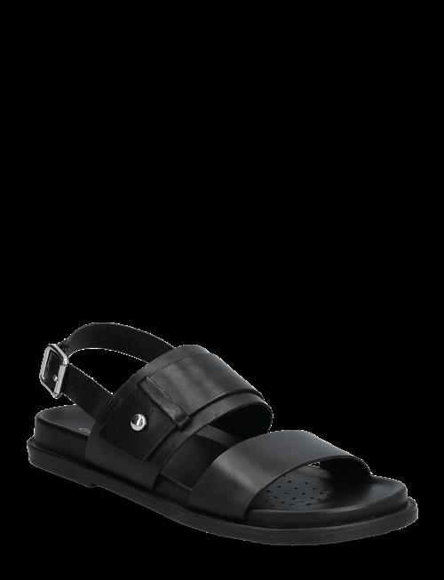GEOX | D Adelash A | 36