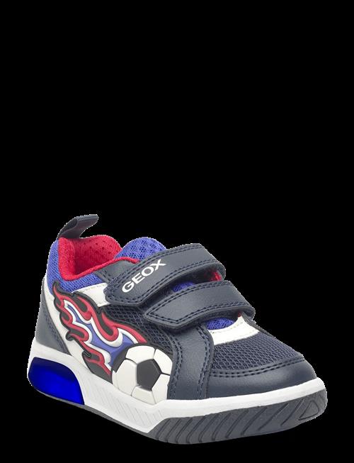 GEOX | J Inek Boy B | 33