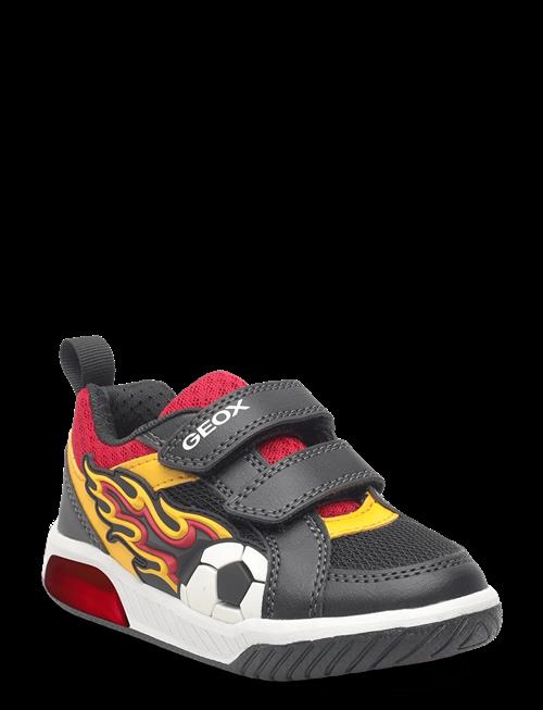 GEOX | J Inek Boy B | 25