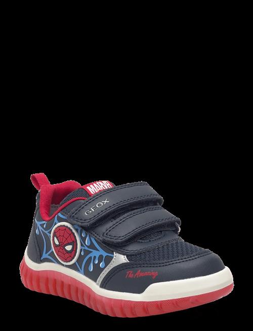 GEOX | B Lightyloo Boy C | 21