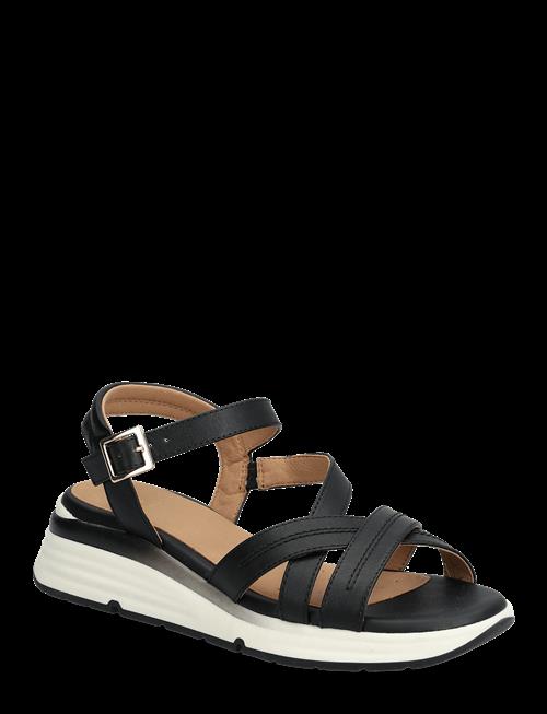 GEOX | D Elowynne A | 38
