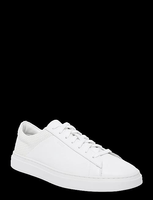 BOSS | Kieran_Tenn_Lwvpu | 46