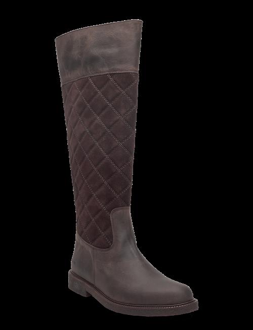 ANGULUS | Booties - Flat | 37.5