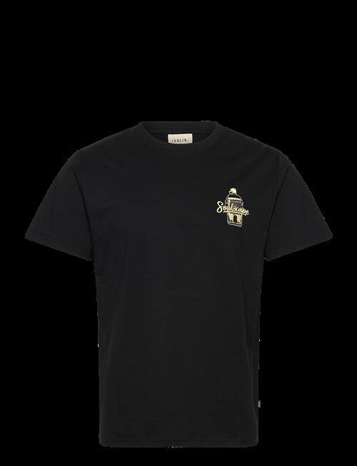 Solid | Sdtrex | S