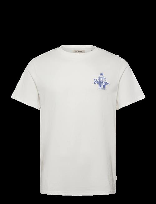 Solid | Sdtrex | L