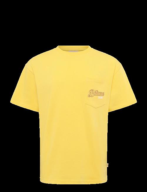 Solid | Sdbrecken | L