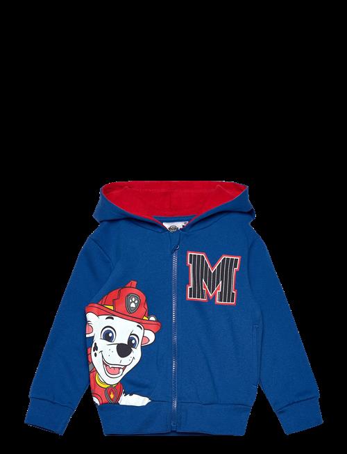 Paw Patrol | Sweats | 116