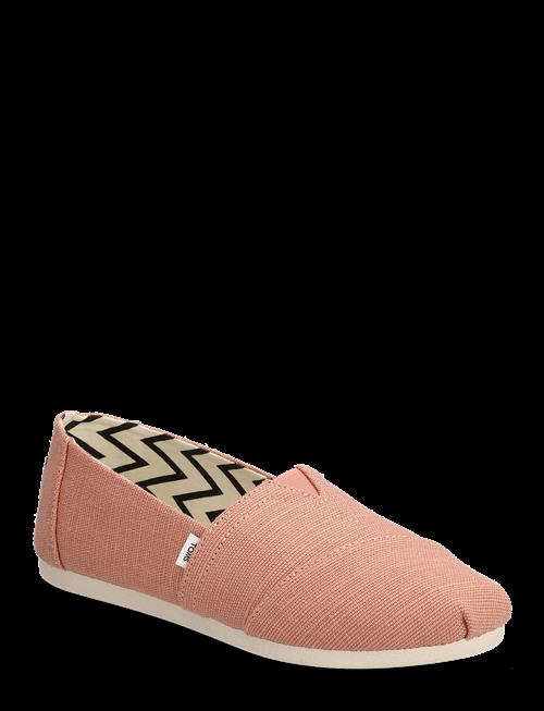 TOMS | Alpargata Classic | 36.5